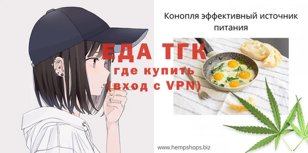 гашик Дмитриев
