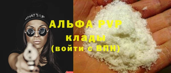 гашик Дмитриев