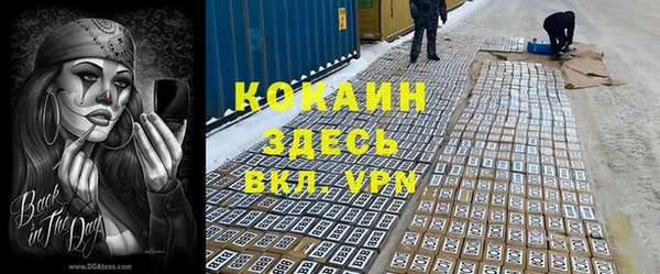 соль ск Дмитровск