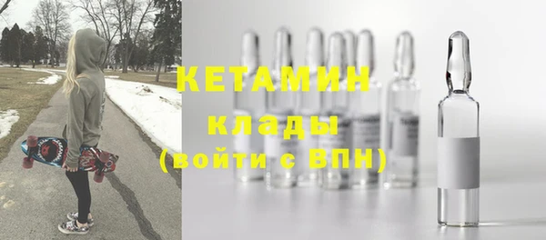 гидра Елабуга