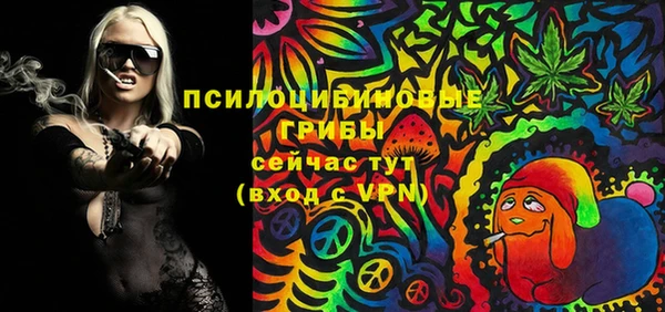 гашик Дмитриев