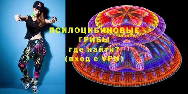 гашик Дмитриев