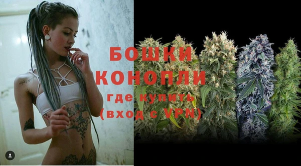 гидра Елабуга