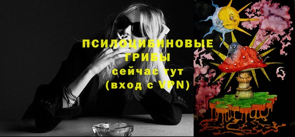 гашик Дмитриев