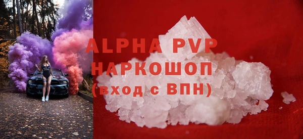 гашик Дмитриев